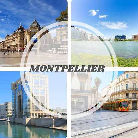Le Calderini Appart - Face Plage Wifi Et Park Gratuit Calme - Resid Le Surcouf -Top Pros Servicesconciergerie La Grande Motte Екстериор снимка